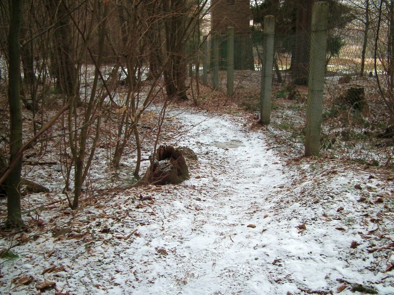 130331_foto_045.jpg