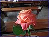 130331_foto_022.jpg