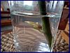 130331_foto_025.jpg