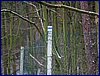 130331_foto_039.jpg