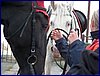 131027_foto 060.jpg