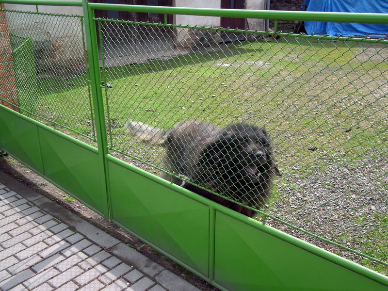 20140419_foto_008.jpg