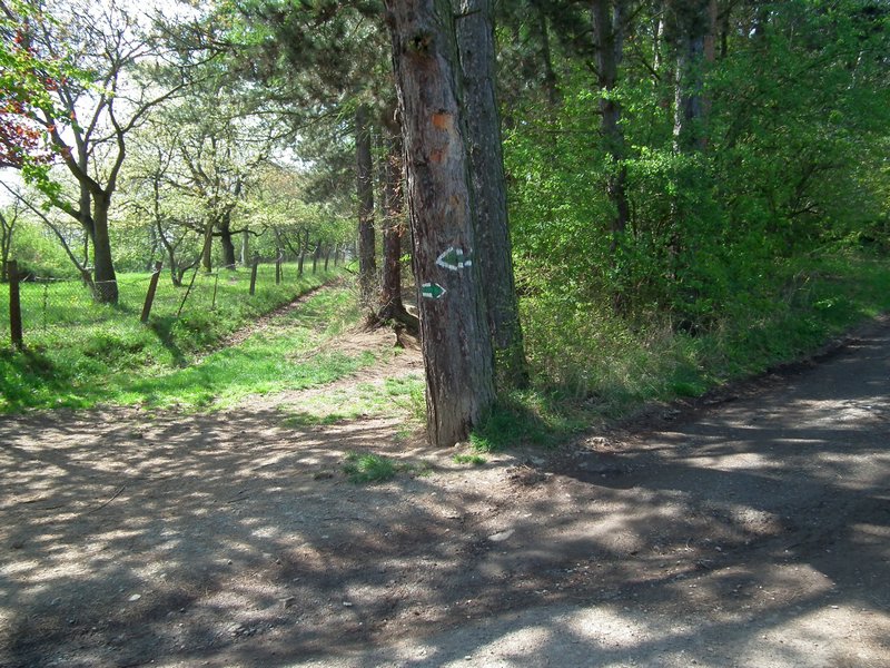 20140419_foto_036.jpg