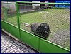 20140419_foto_008.jpg