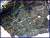 20140419_foto_025.jpg