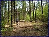 20140419_foto_028.jpg