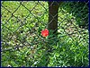 20140419_foto_029.jpg