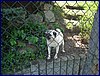 20140419_foto_037.jpg