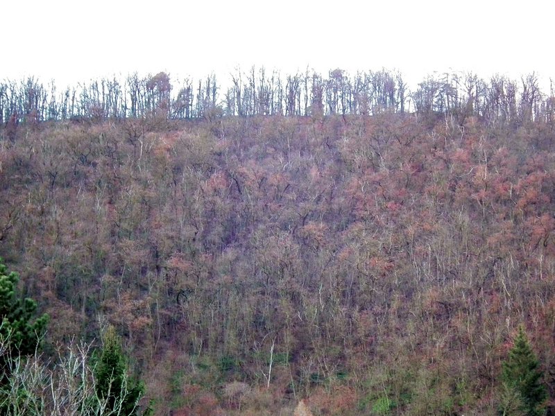20141225_foto_044.jpg