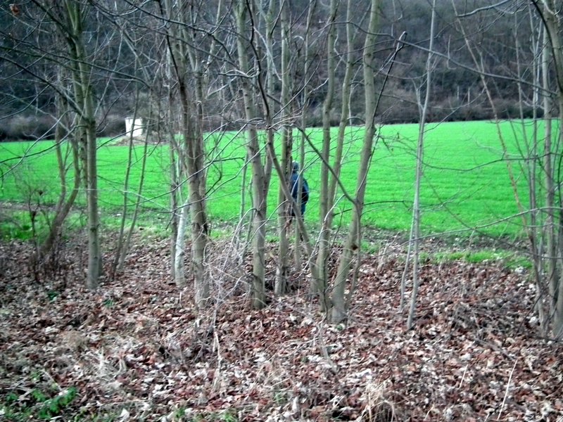 20141225_foto_046.jpg
