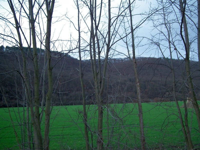 20141225_foto_048.jpg