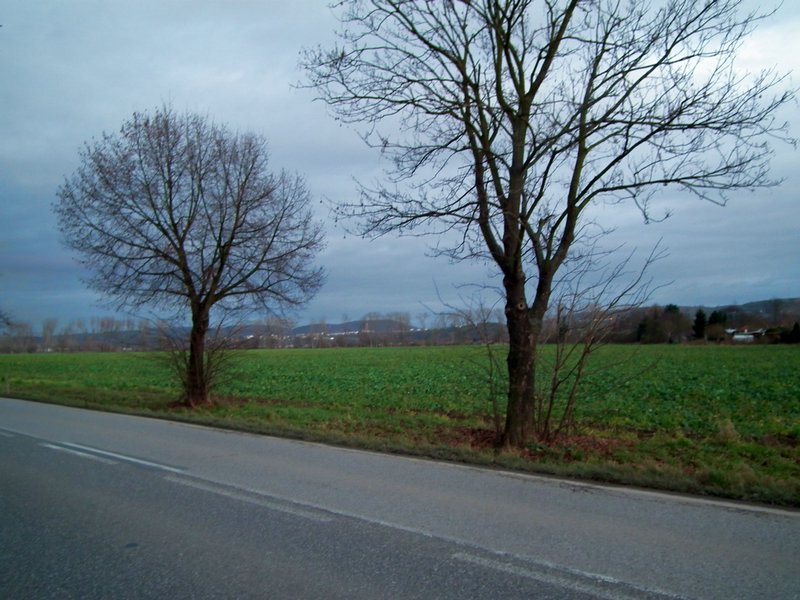 20141225_foto_050.jpg
