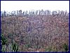 20141225_foto_044.jpg