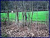 20141225_foto_046.jpg