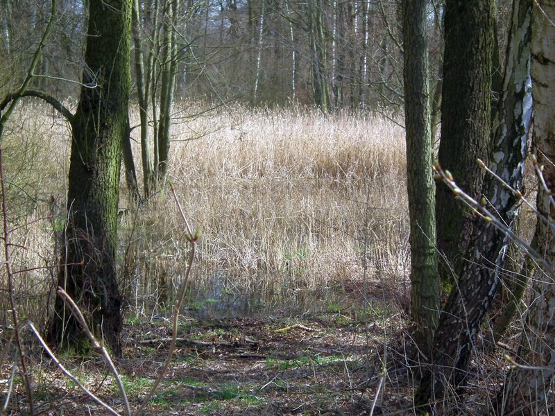 20150404_foto_017.jpg