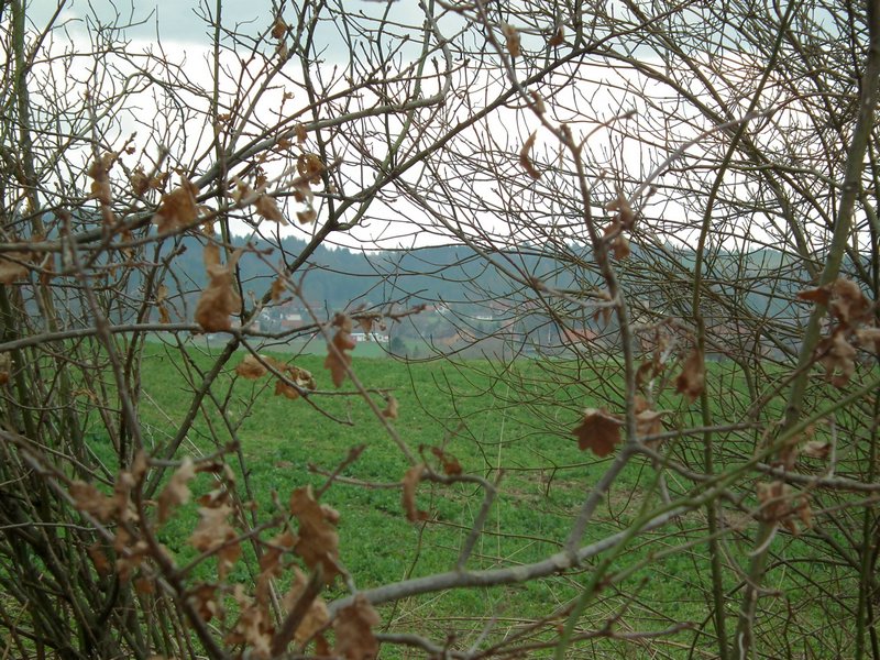 20150404_foto_029.jpg