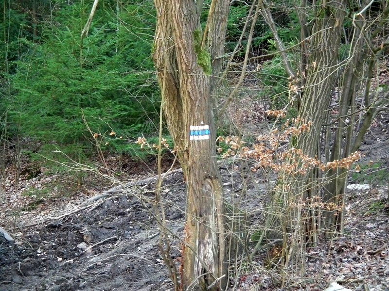 20150404_foto_043.jpg