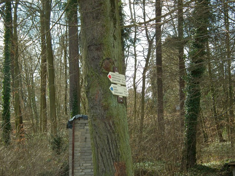 20150404_foto_058.jpg