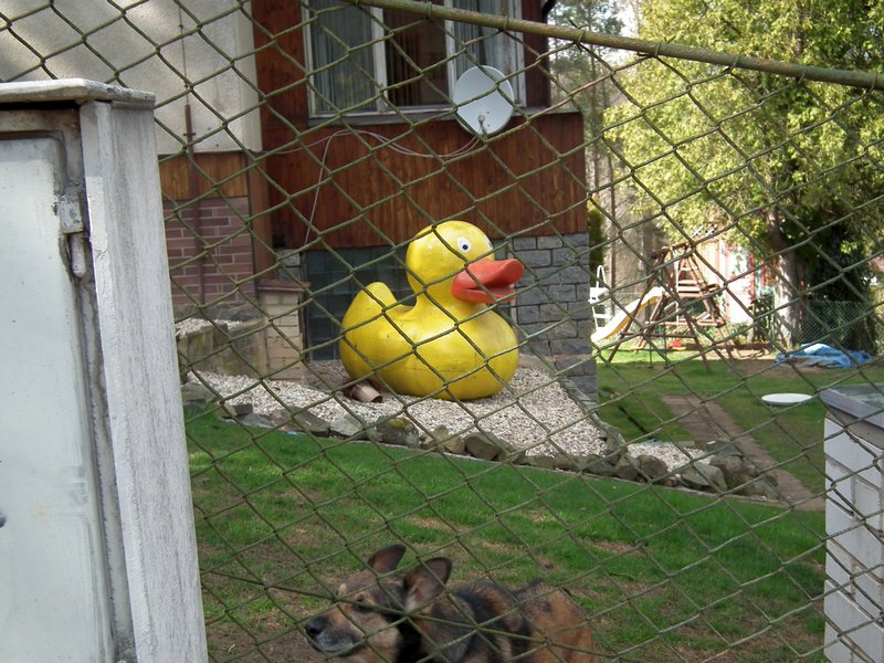 20150404_foto_059.jpg