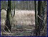 20150404_foto_017.jpg