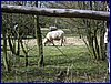 20150404_foto_019.jpg