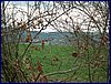 20150404_foto_029.jpg