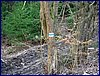20150404_foto_043.jpg