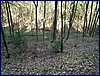 20150404_foto_045.jpg
