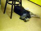2016-01-02_DSCF1060.jpg