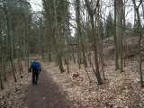 2016-03-26_DSCF1051.jpg