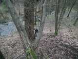 2016-03-26_DSCF1078.jpg