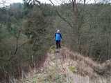 2016-03-26_DSCF1116.jpg