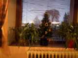 2016-12-31_DSCF1090.jpg