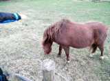 2017-12-31_DSCF1026.jpg