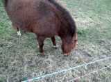 2017-12-31_DSCF1027.jpg