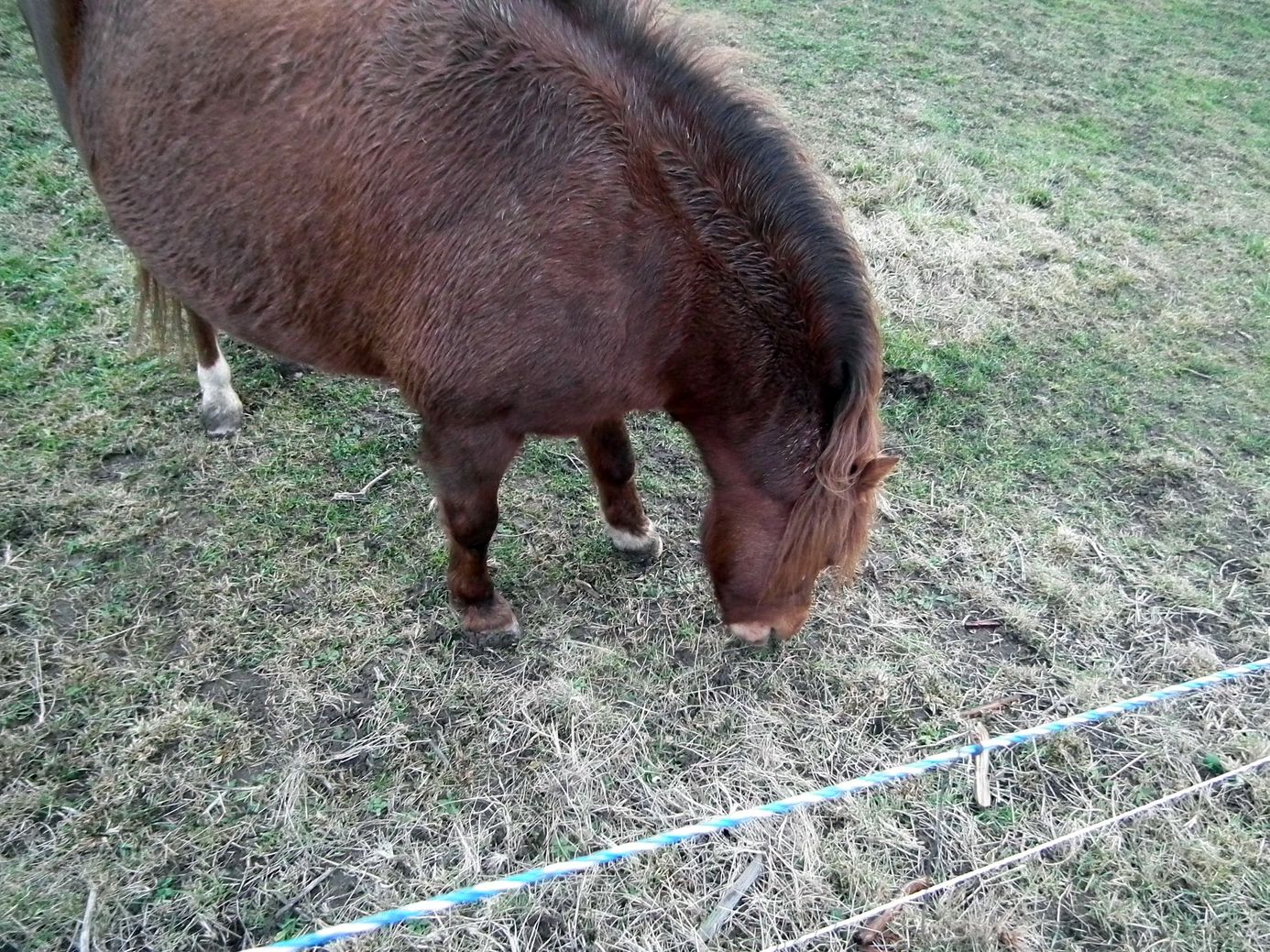 2017-12-31_DSCF1027.jpg