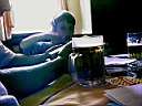 DAVY019.JPG