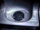 MH990038.jpg