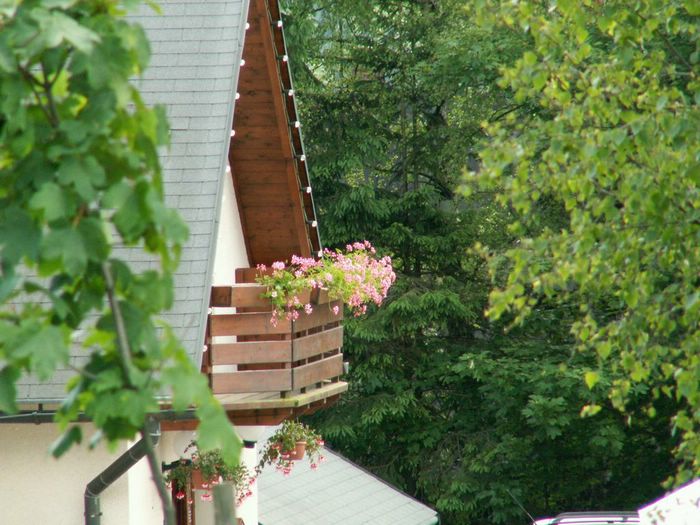 PICT0005.JPG