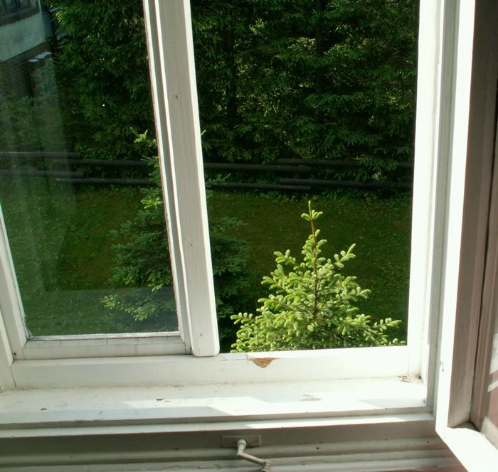 Pict1004.jpg