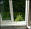 Pict1004.jpg