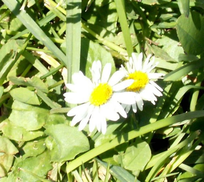 PICT0012.JPG
