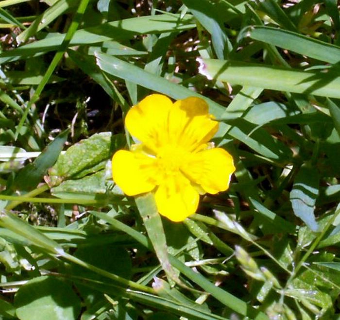 PICT0013.JPG