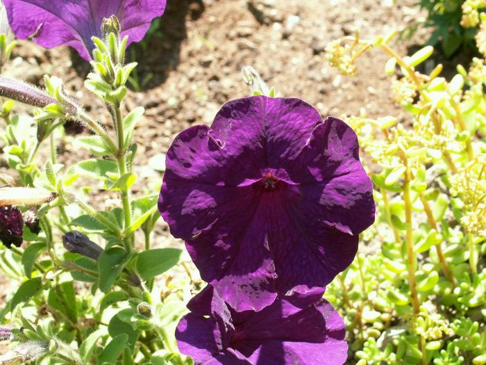 PICT0020.JPG