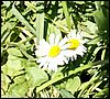 PICT0012.JPG
