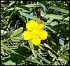 PICT0013.JPG