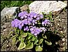 PICT0015.JPG
