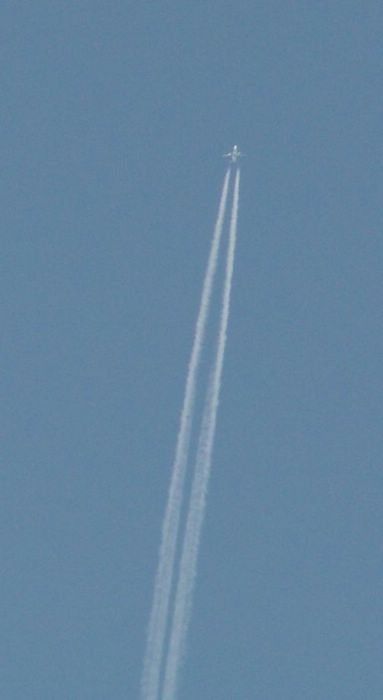 PICT0013.JPG