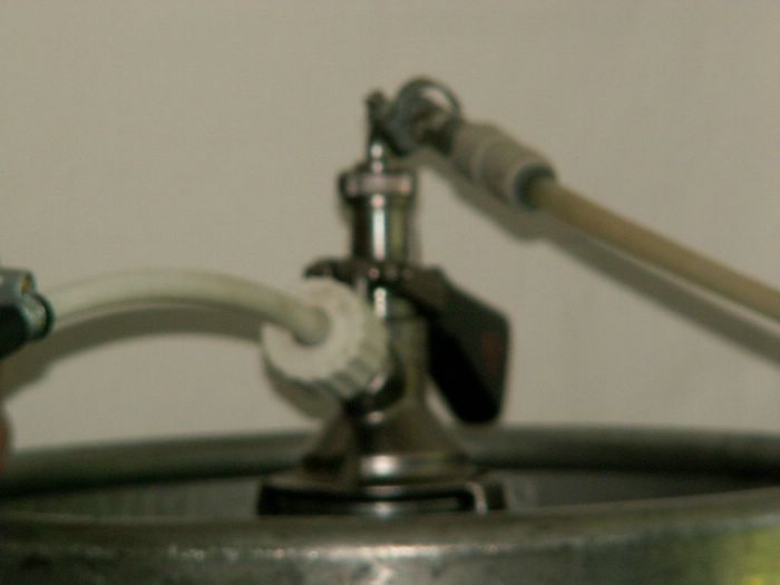 PICT0019.JPG