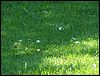 PICT0035.JPG